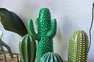 Make a Spooky Cactus - BYOB